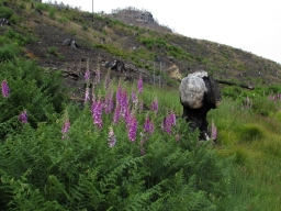 Digitalis